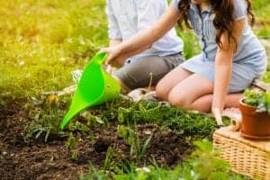 gardening gardening