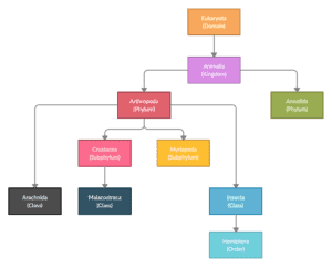 Taxonomy for Insects Taxonomy for Insects