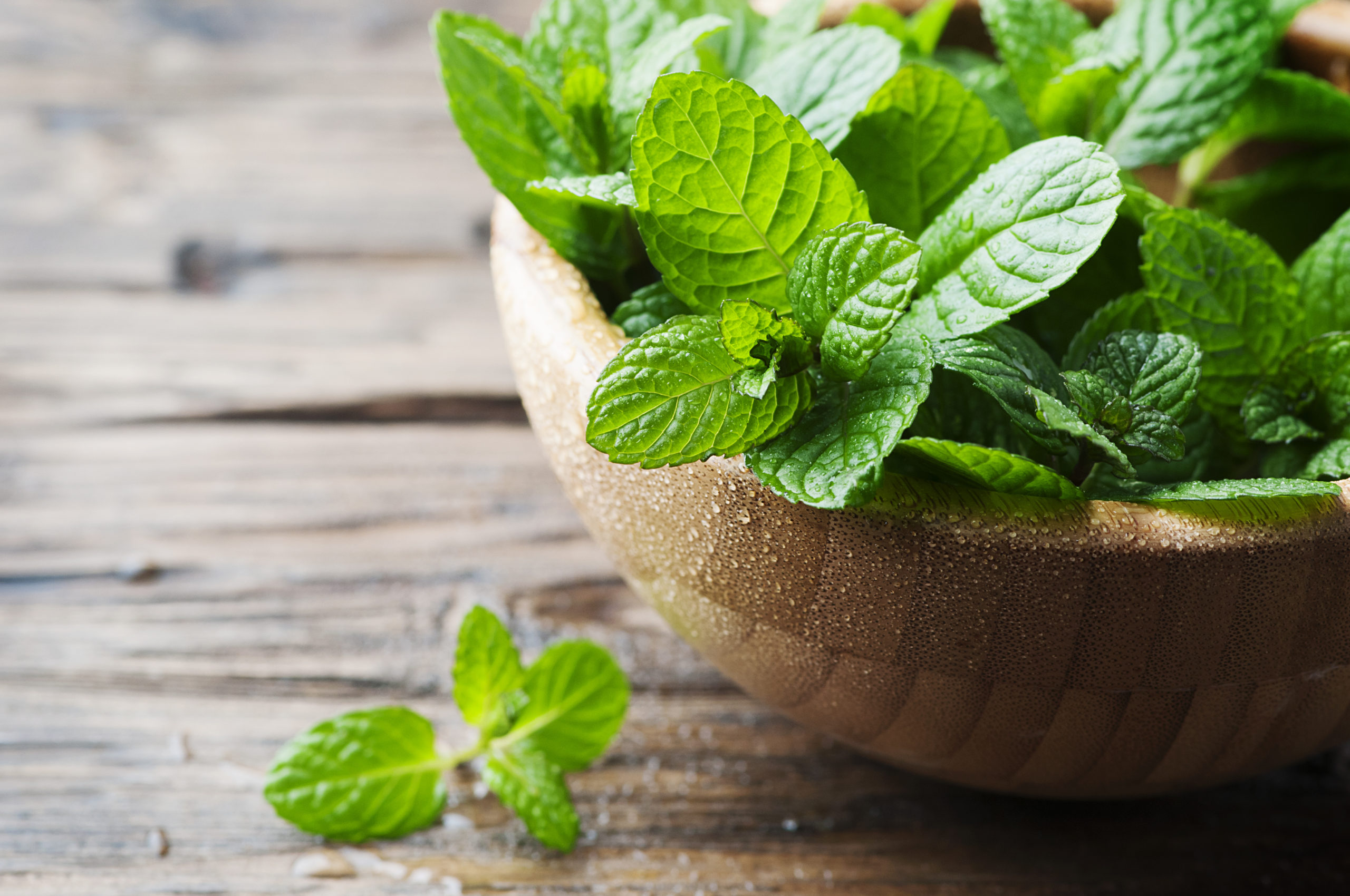 mint scaled 11 Pest-Repelling Plants for Your Yard