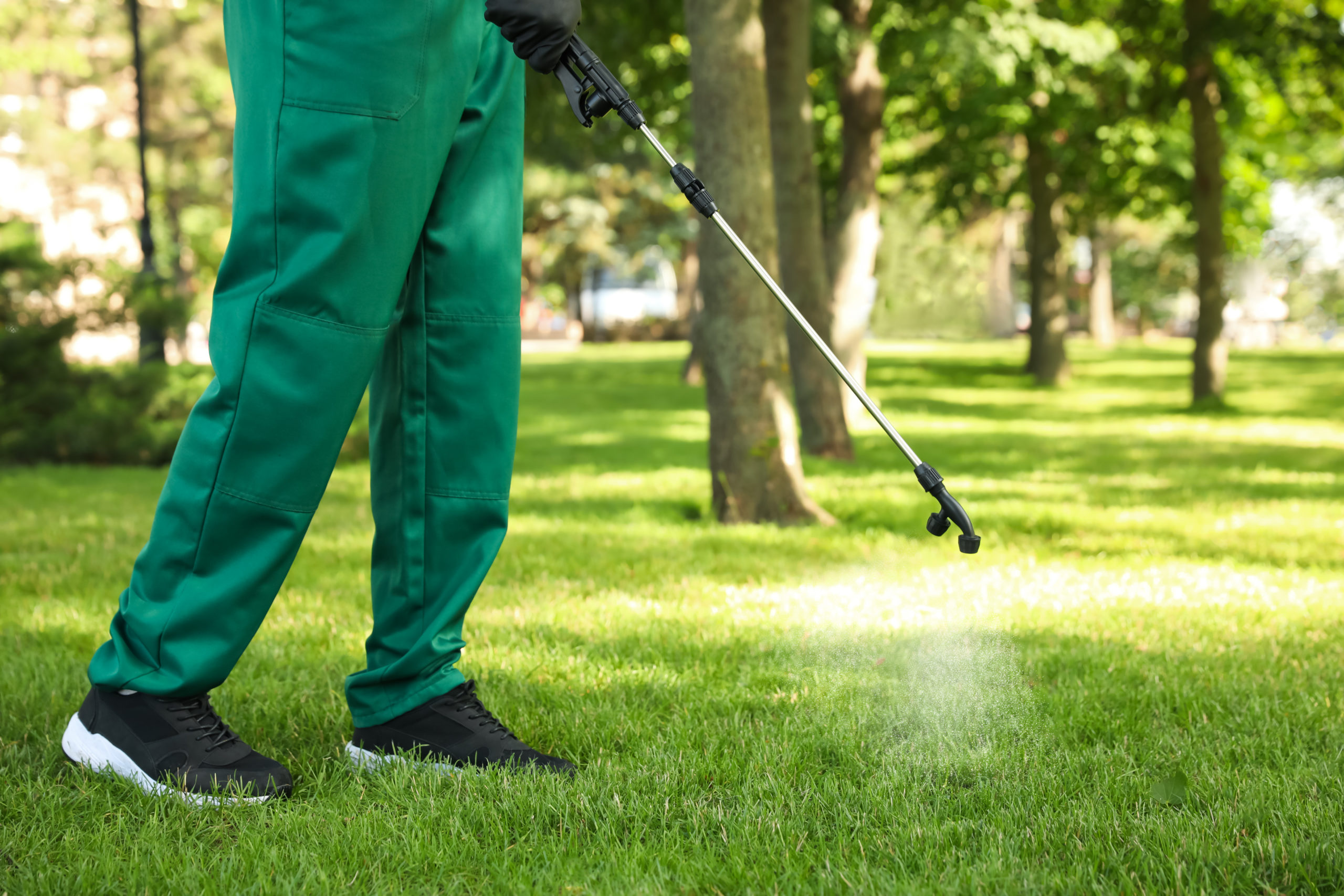 Is Preventative Pest Control Worth It Pointe Pest Control Chicago 