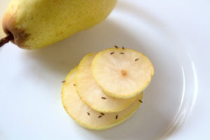 fruit flies attracts Pear,With,Many,Fruit,Flies