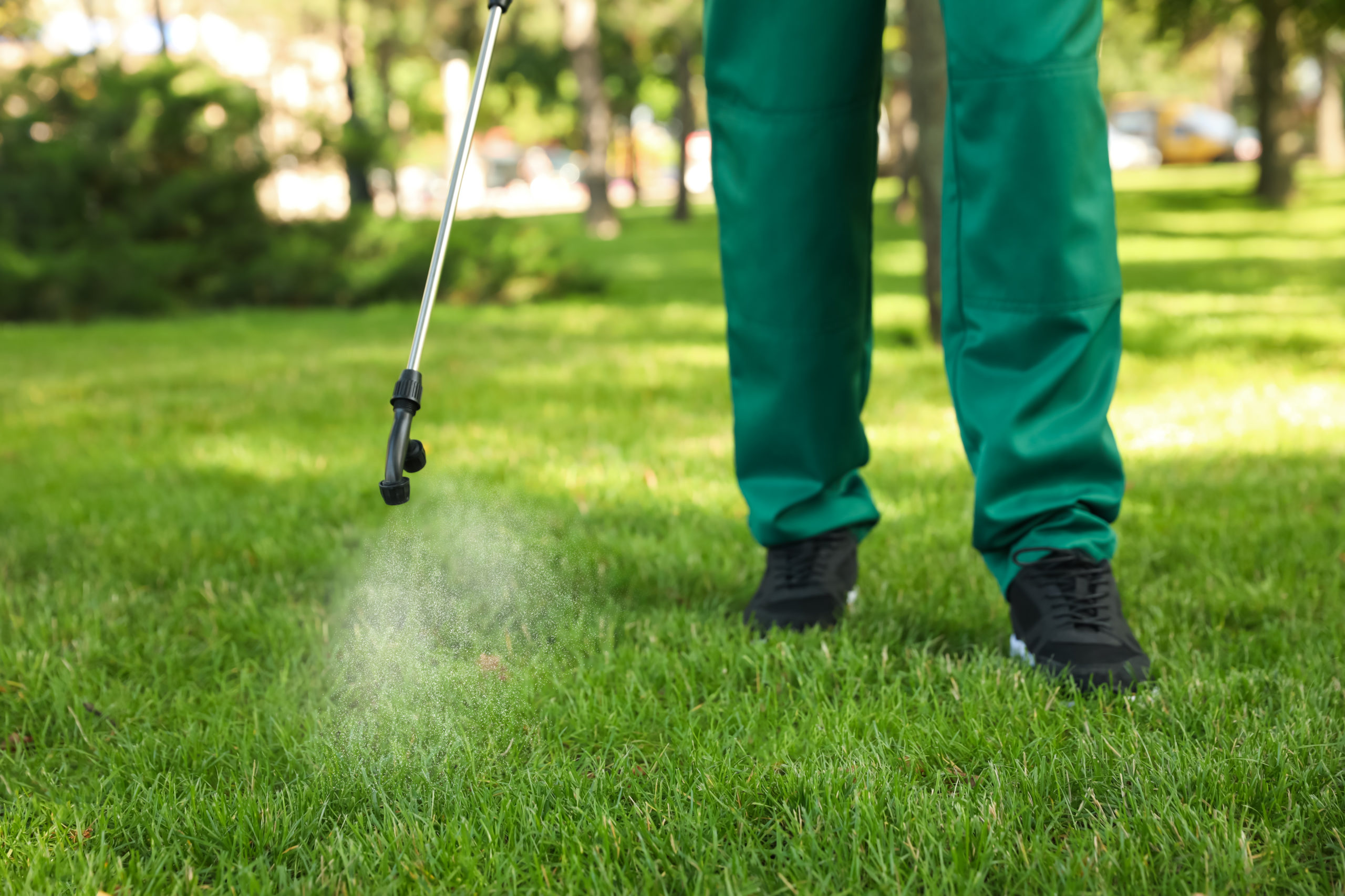 baseball pest control 2 scaled What If Pests Could Dress Up For Halloween?