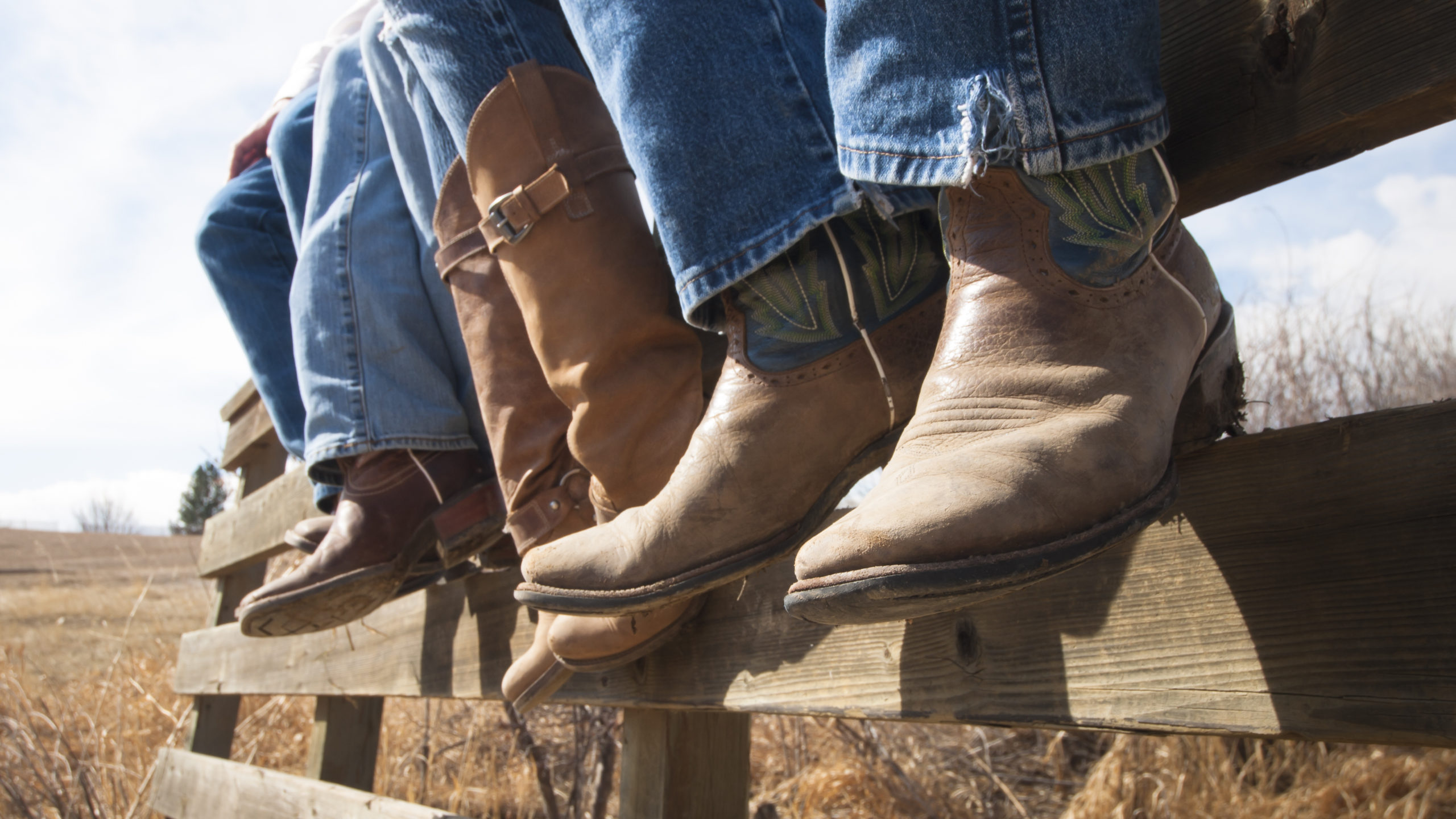 halloween cowboys scaled What If Pests Could Dress Up For Halloween?