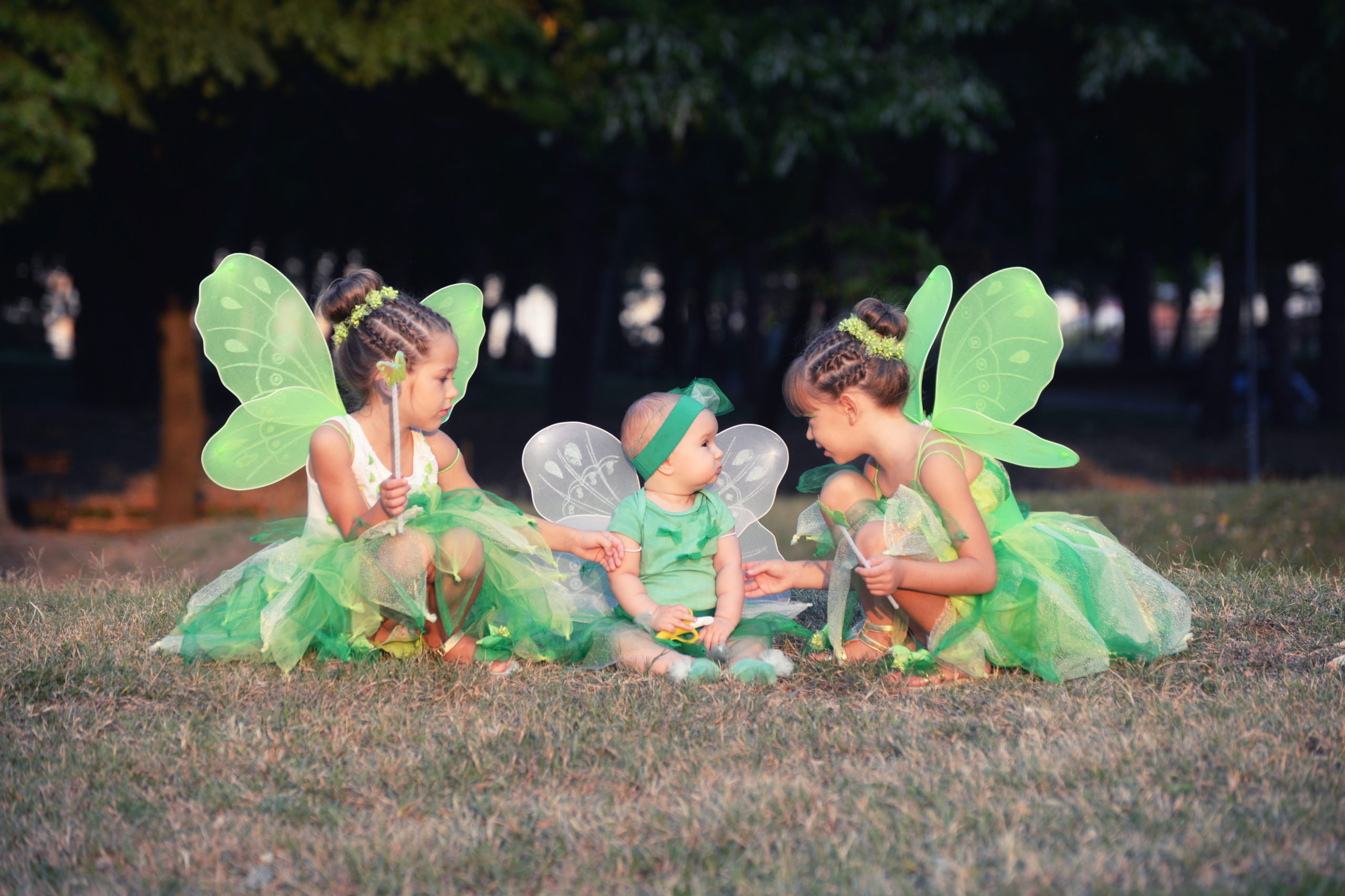 halloween fairies scaled What If Pests Could Dress Up For Halloween?